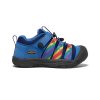 KEEN Shoes | Big Kids' Newport H2Sho | Multi/Bright Cobalt