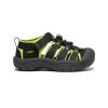 KEEN Sandals | Little Kids' Newport H2 | Black/Lime Green